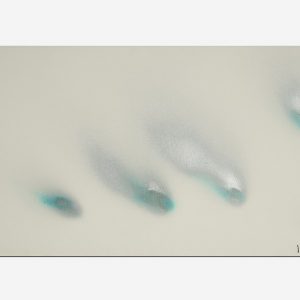 Minimalisti - Bicromia 2004