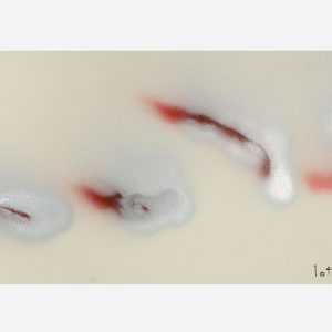 Minimalisti - Dicromia10