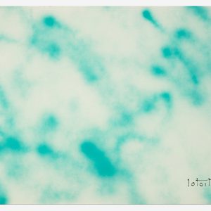 Minimalisti - Dicromia 24