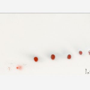 Minimalisti - Punti