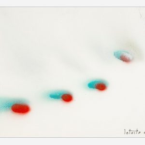 Minimalisti - Tricromia 2